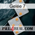 Gelée 7 25